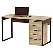 Muebles Pitarch Mesa de escritorio Nexus (L x An x Al: 60 x 135 x 76 cm, Roble Cambrian) | BAUHAUS