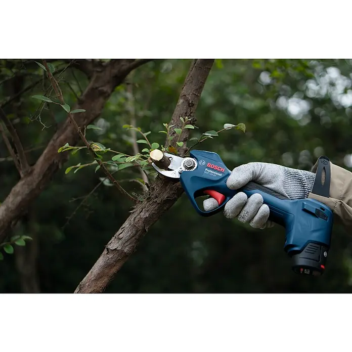 Bosch Professional Akku-Gartenschere GGP 12V-25 - 12 V, Li-Ionen, Ohne Akku, Max. Aststärke: 25 mm - Bild einer Bosch Akku-Gartenschere beim Beschneiden eines Astes im Garten.