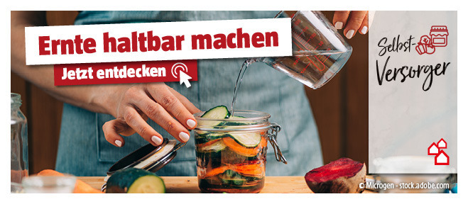 Tipps und Ideen zum Thema Ernte haltbar machen entdecken