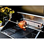 Boretti Draaispit (Passend bij: Leonardo Barbecue) | BAUHAUS