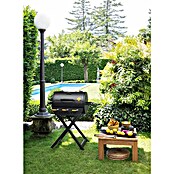 Boretti Gasbarbecue Addizio (Vermogen hoofdbrander: 2,8 kW, Grilloppervlak (B x D): 58 x 42 cm) | BAUHAUS