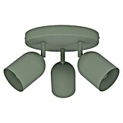Eglo Led-plafondspot Tilston 3-voudig (Groen, Diameter: 25 cm) | BAUHAUS