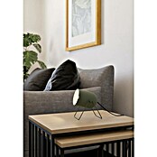 Eglo Tafellamp Tilston (l x b x h: 12,5 x 10,8 x 14,5 cm, Groen, E14) | BAUHAUS
