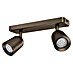 Eglo Led-plafondspot Camaldoli 2-voudig 