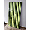 Papermoon Infrarot-Glasheizkörper Bamboo (60 x 120 cm, 750 W)