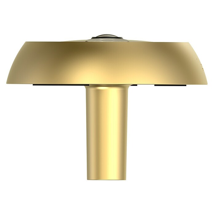 EZVIZ Mirilla digital DP2C (Oro, 1.920 x 1.080 píxeles (Full HD), 155 °) | BAUHAUS