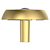 EZVIZ Mirilla digital DP2C (Oro, 1.920 x 1.080 píxeles (Full HD), 155 °) | BAUHAUS