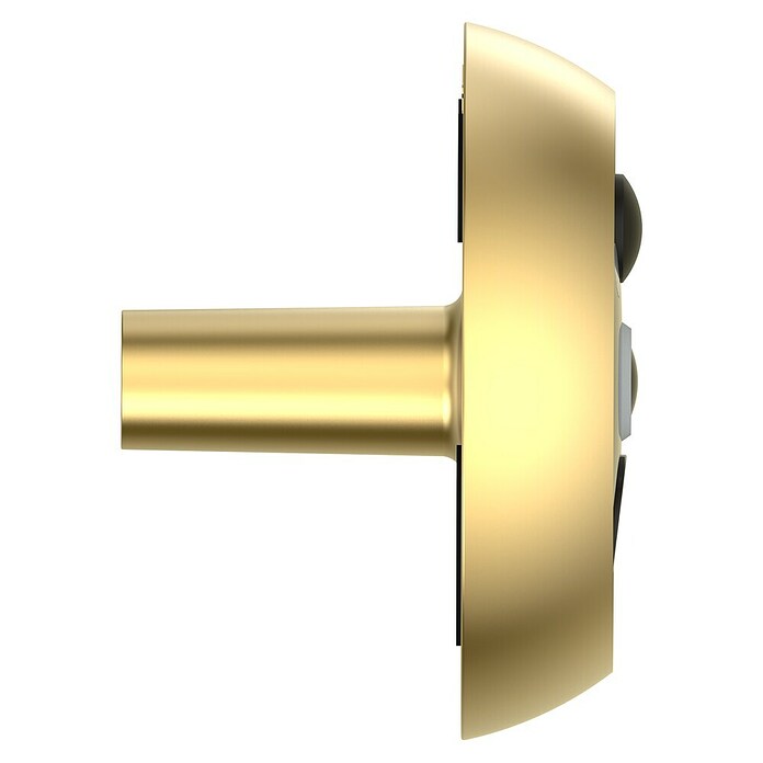 EZVIZ Mirilla digital DP2C (Oro, 1.920 x 1.080 píxeles (Full HD), 155 °) | BAUHAUS