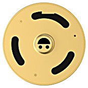 EZVIZ Mirilla digital DP2C (Oro, 1.920 x 1.080 píxeles (Full HD), 155 °) | BAUHAUS