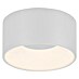 Plafón LED redondo Tanika 