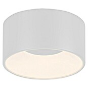 Plafón LED redondo Tanika (13 W, Ø x Al: 16 x 80 cm, Blanco, Blanco cálido) | BAUHAUS