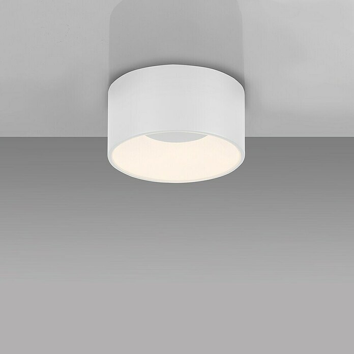 Plafón LED redondo Tanika (13 W, Ø x Al: 16 x 80 cm, Blanco, Blanco cálido) | BAUHAUS