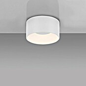 Plafón LED redondo Tanika (13 W, Ø x Al: 16 x 80 cm, Blanco, Blanco cálido) | BAUHAUS