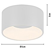 Plafón LED redondo Tanika (13 W, Ø x Al: 16 x 80 cm, Blanco, Blanco cálido) | BAUHAUS