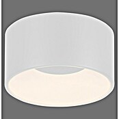 Plafón LED redondo Tanika (13 W, Ø x Al: 16 x 80 cm, Blanco, Blanco cálido) | BAUHAUS