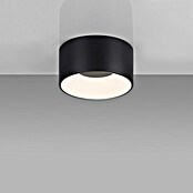Plafón LED redondo Tanika (13 W, Ø x Al: 16 x 80 cm, Negro, Blanco cálido) | BAUHAUS