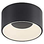 Plafón LED redondo Tanika (13 W, Ø x Al: 16 x 80 cm, Negro, Blanco cálido) | BAUHAUS