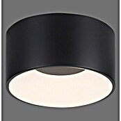 Plafón LED redondo Tanika (13 W, Ø x Al: 16 x 80 cm, Negro, Blanco cálido) | BAUHAUS
