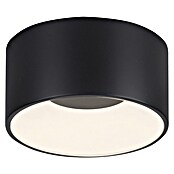 Plafón LED redondo Tanika (13 W, Ø x Al: 16 x 80 cm, Negro, Blanco cálido) | BAUHAUS