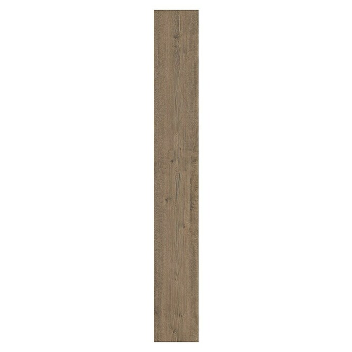 LOGOCLIC Vinto Laminat Hrast Long Tegen  (2.003 x 245 x 12 mm, Rustikalen videz) | 5140 - Logoclic Vinto | GCDA - Laminatboden | GCD - Wand Boden Decke Leisten | GC - Wand Boden Decke Leisten | G - Holz/Bauelem | BAUHAUS