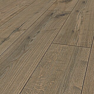 LOGOCLIC Vinto Laminat Long Eiche Tegen (2.003 x 245 x 12 mm, Landhausdiele, Eiche Tegen)