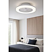 Brilliant Plafondventilator SIANO met LED verlichting (Wit, 48 cm) | BAUHAUS