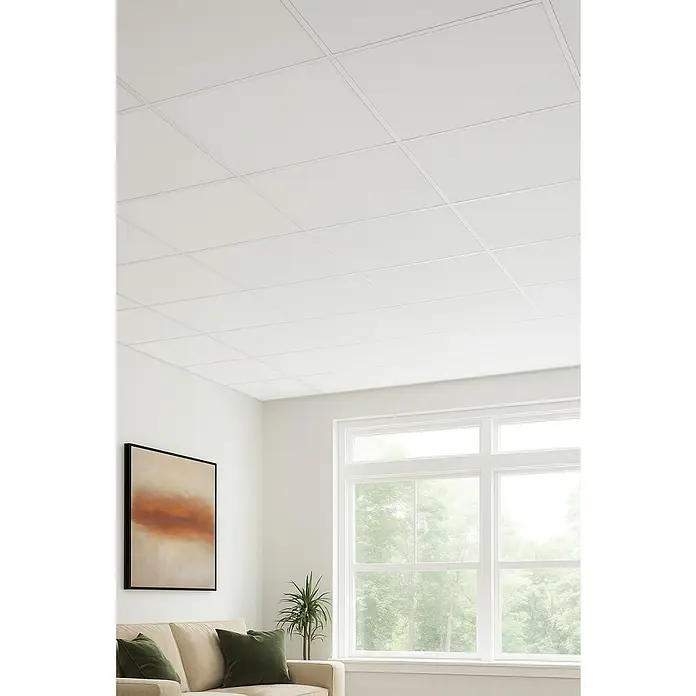 Placo Saint-Gobain Placa para techo de escayola - 100 x 60 cm - Primer plano de un techo de oficina con baldosas cuadradas y un diseño minimalista, destacando una estética moderna.