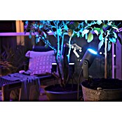 Philips Hue Ledverlichting, set (8 W, Lichtkleur: Wit, Dimbaar)