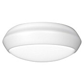 Green Tech LED stropna svetilka  (15 W, Bela, 30 cm) | 3078 - Wandleuchte Outdoor | CAJA - Outdoorleuchten Hochvolt | CAJ - Outdoorleuchten | CA - Beleuchtung | C - Elektro | BAUHAUS