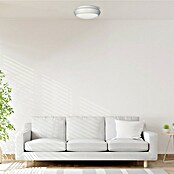 Green Tech LED stropna svetilka  (15 W, Bela, 30 cm) | 3078 - Wandleuchte Outdoor | CAJA - Outdoorleuchten Hochvolt | CAJ - Outdoorleuchten | CA - Beleuchtung | C - Elektro | BAUHAUS
