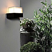 Green Tech Zidna LED svjetiljka Saturn  (5 W, D x Š x V: 90 x 105 x 85 mm, Crna, Topla bijela) | BAUHAUS