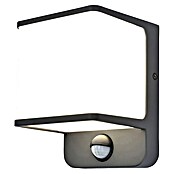 Lutec Doblo LED senzorska zunanja stenska svetilka  (14 W, Do x Š x V: 10,3 x 11 x 146 cm, Temno siva) | 3079 - Wandleuchte outdoor mit Bewegungsmelder | CAJA - Outdoorleuchten Hochvolt | CAJ - Outdoorleuchten | CA - Beleuchtung | C - Elektro | BAUHAUS
