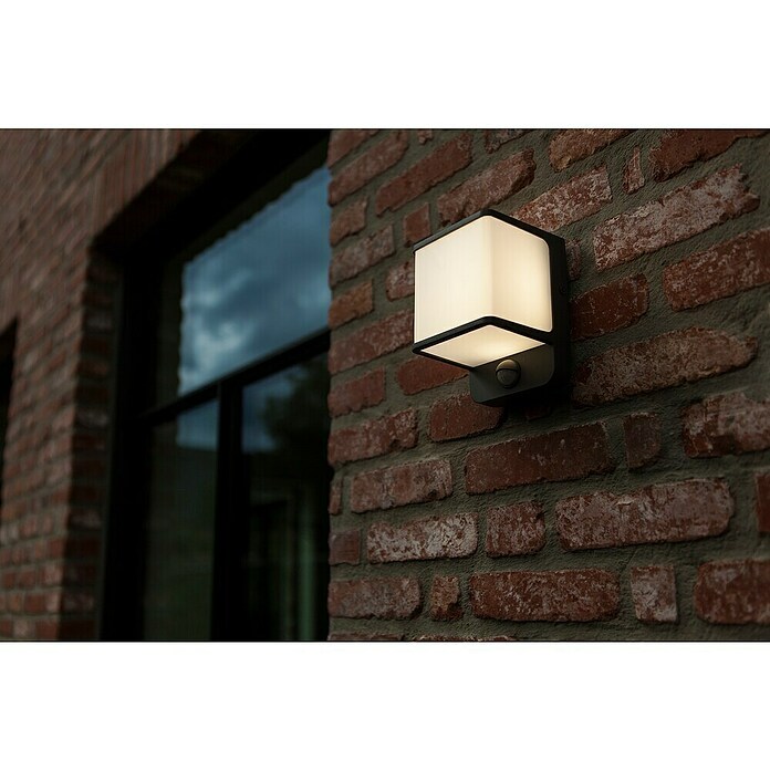 Lutec Doblo LED senzorska zunanja stenska svetilka  (14 W, Do x Š x V: 10,3 x 11 x 146 cm, Temno siva) | 3079 - Wandleuchte outdoor mit Bewegungsmelder | CAJA - Outdoorleuchten Hochvolt | CAJ - Outdoorleuchten | CA - Beleuchtung | C - Elektro | BAUHAUS