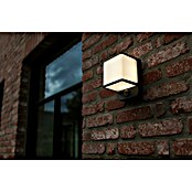 Lutec Doblo LED senzorska zunanja stenska svetilka  (14 W, Do x Š x V: 10,3 x 11 x 146 cm, Temno siva) | 3079 - Wandleuchte outdoor mit Bewegungsmelder | CAJA - Outdoorleuchten Hochvolt | CAJ - Outdoorleuchten | CA - Beleuchtung | C - Elektro | BAUHAUS