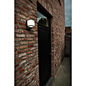 Lutec Doblo LED vanjska svjetiljka sa senzorom pokreta  (14 W, D x Š x V: 10,3 x 11 x 146 cm, Antracit) | BAUHAUS