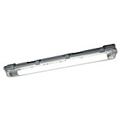 Ledvance Regleta estanca Subamrine (8 W, Largo: 65,1 cm, IP65) | BAUHAUS