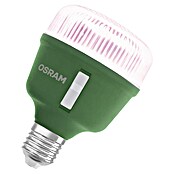 Ledvance Bombilla LED Star Grow (E27, No regulable, Multicolor, 330 lm, 10 W) | BAUHAUS