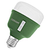 Ledvance Bombilla LED Star Grow (E27, No regulable, Multicolor, 330 lm, 10 W) | BAUHAUS