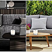 Briloner Lámpara de sobremesa LED redonda Smal (2 W, Transparente, Blanco cálido) | BAUHAUS