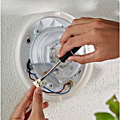 Philips Hue Led-wandlamp voor buiten (1 lampen, 15 W, Lichtkleur: RGBW, IP44, Zilver)