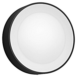 Philips Hue LED-Außenwandleuchte Daylo (15 W, 22 x 22 x 7,6 cm, Schwarz, IP44)