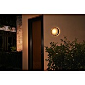Philips Hue Led-wandlamp voor buiten (1 lampen, 15 W, Lichtkleur: RGBW, IP44, Zilver)