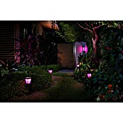 Philips Hue Impress LED-Wandleuchte (16 W, L x B x H: 14,1 x 12 x 24 cm, Schwarz, RGBW) | BAUHAUS