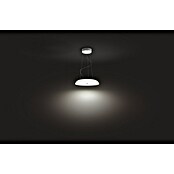 Philips Hue Lámpara colgante LED redonda Amaze (25 W, Ø x Al: 43,4 x 150 cm, Blanco, Blanco) | BAUHAUS