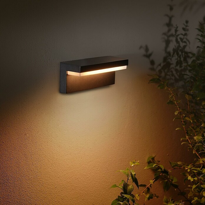 Philips Hue LED-Außenwandleuchte (1-flammig, 13,5 W, Lichtfarbe: RGBW, IP44, Schwarz)