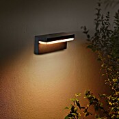 Philips Hue LED-Außenwandleuchte (1-flammig, 13,5 W, Lichtfarbe: RGBW, IP44, Schwarz)