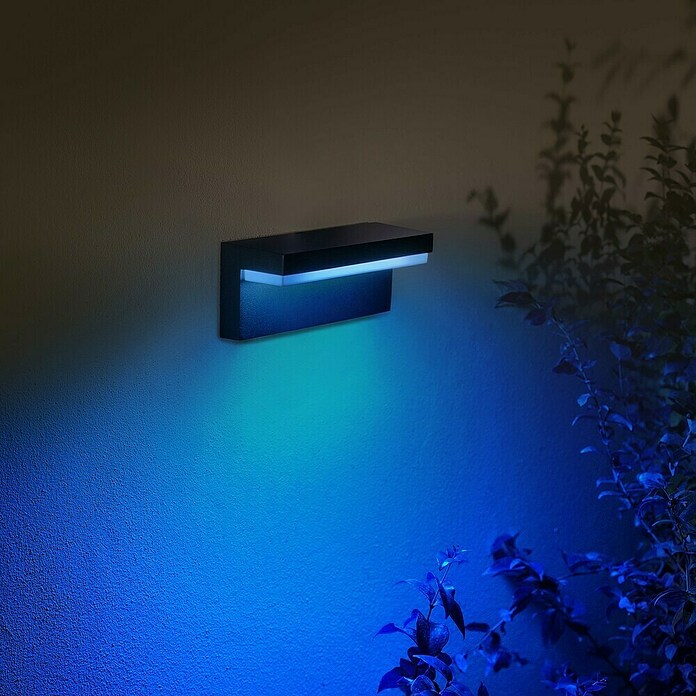 Philips Hue LED-Außenwandleuchte (1-flammig, 13,5 W, Lichtfarbe: RGBW, IP44, Schwarz)