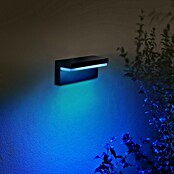 Philips Hue LED-Außenwandleuchte (1-flammig, 13,5 W, Lichtfarbe: RGBW, IP44, Schwarz)