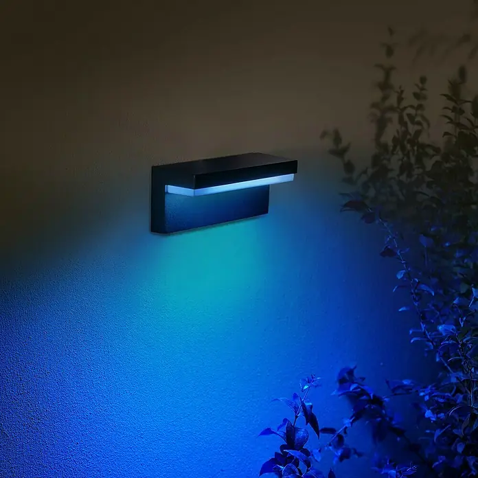 Philips Hue LED-Außenwandleuchte Nyro - 13,5 W, 25,4 x 88 x 10,1 cm, Schwarz, IP44 - Eine moderne Wandleuchte mit blauem Licht illuminiert eine Wand neben einer Pflanze und setzt so einen dekorativen Akzent.