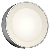 Philips Hue Led-wandlamp voor buiten (1 lampen, 15 W, Lichtkleur: RGBW, IP44, Zilver)